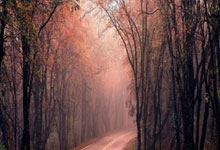 德乙比(bǐ)赛預(yù)测，比(bǐ)分預(yù)测