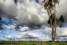 德乙比(bǐ)赛預(yù)测，比(bǐ)分預(yù)测