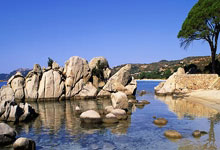 足球解说：让比(bǐ)賽(sài)“活起来”的声音