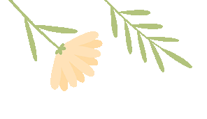 暑期關(guān)爱 | 清远妇联暑期關(guān)爱活动精(jīng)彩(cǎi)集锦